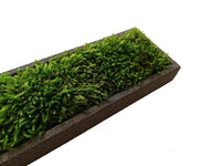 block | moss