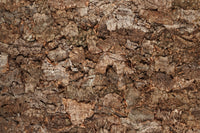 rusticork | bark