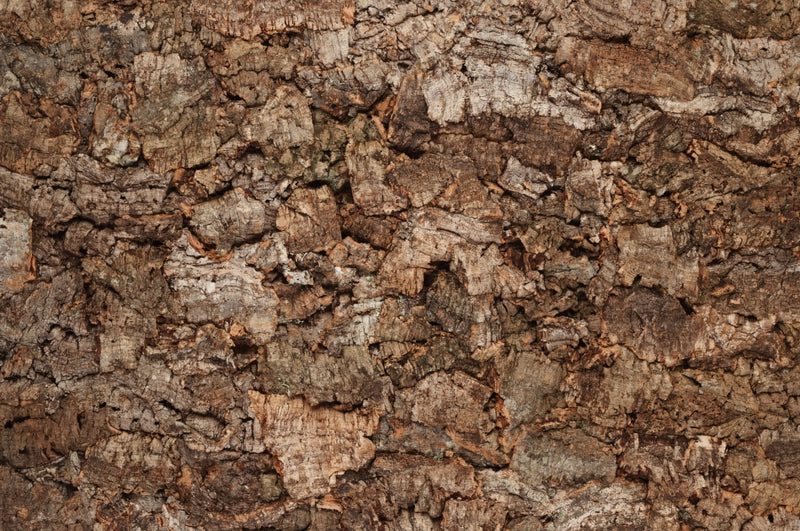 rusticork | bark