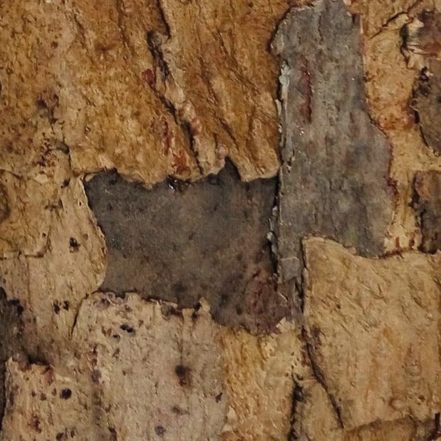 rusticork | sandstone