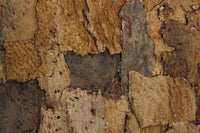 rusticork | sandstone