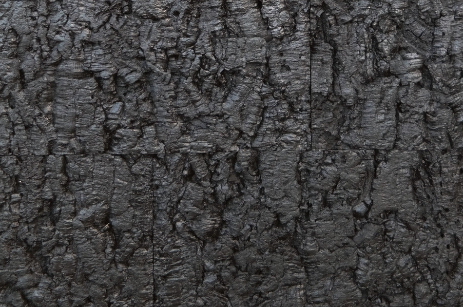 rusticork | bark
