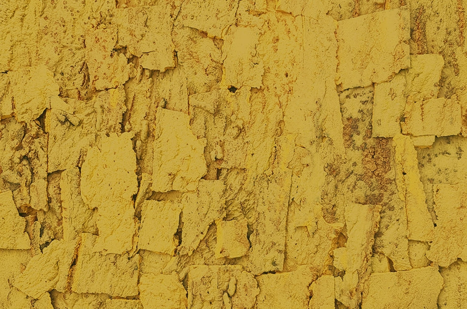 rusticork | sandstone