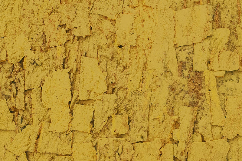 rusticork | sandstone