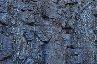 rusticork | bark