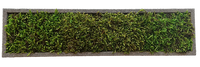 block | moss
