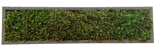 block | moss