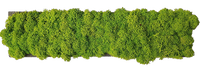 block | moss