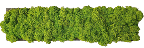 block | moss